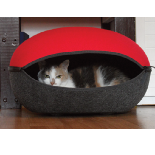Das Katzennest