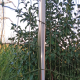 Edelstahlstange T3