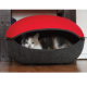 Das Katzennest