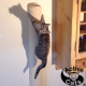 Kletterkatze